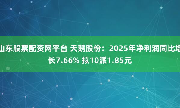 山东股票配资网平台 天鹅股份:2025年净利润同比增长7.66% 拟10派1.85元